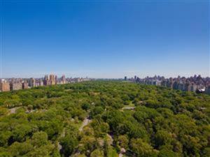 If you want a Central Park view like this, you'll have to drop some serious coin.