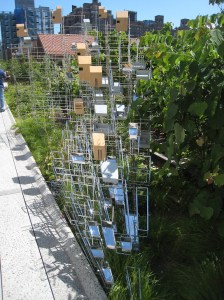 Sarah_sze