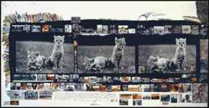 peter_beard_orphan_cheetah_triptych_1968_d5600203h