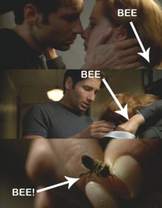 My favorite scene from the X-Files movie, which involves bees. (Courtesy goodreads.com)