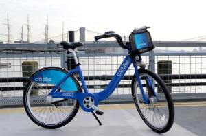 One man painted his Citi Bike purple to get six weeks of use out of it.