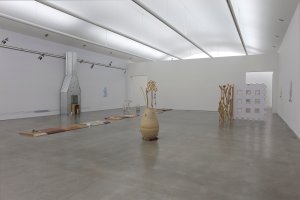 Installation view. (Photo by Jean Vong/Hessel Museum of Art)
