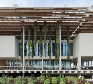 pamm-vertical-gardens-iwan-baan-2-e1386711815203