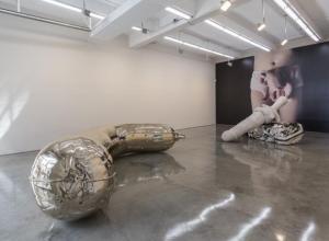 Installation view of Lucas's current show at Gladstone, 'NUD NOB.' (Courtesy Gladstone Gallery)