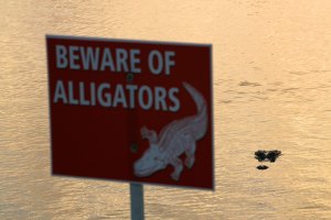 Forget about "No Running." Brooklyn pools may want new signs. (Chris Trotman/Getty Images)