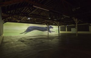 Installation view/still of 'Finite Infinite' (2010) by Sturtevant, at 356 Mission Road in Los Angeles. (Courtesy Gavin Brown's Enterprise)