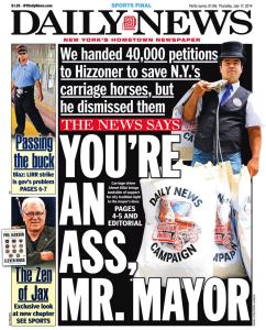 The Daily News 