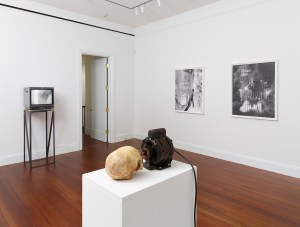 Installation view 2014. (Courtesy the artist/ Blum & Poe gallery)