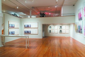 Installation views of 'Charles Gaines: Gridwork (1974-1989).' (Photo by Adam Reich/courtesy the Studio Museum.)