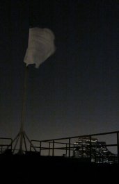 white flag