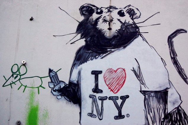 New York City struggles with rat infestation. (Ludovic Bertron/Flickr)