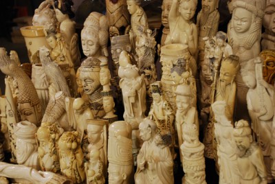 banner_ivory_ban_panel_heads_2014