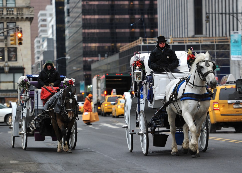 Two horse-drawn carriages are ridden on Central Park West on January 2, 2014.  (STAN HONDA/AFP/Getty Images)