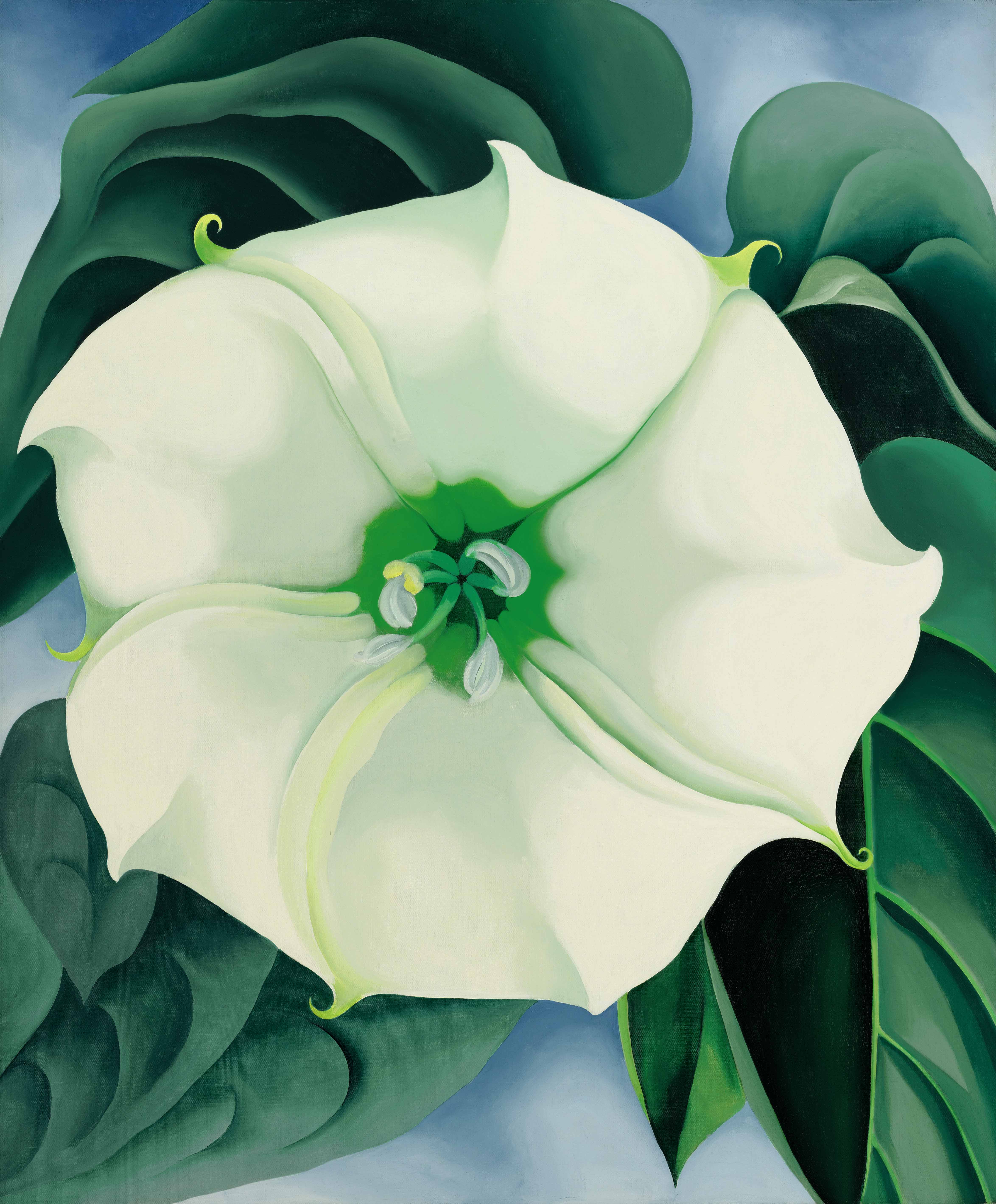 Georgia O’Keeffe, Jimson Weed/White Flower No. 1 (1932). Estimate $10/15 million, Sold for $44,405,000 at Sotheby's American Art sale on November 20, 2014. (Sotheby’s New York) 