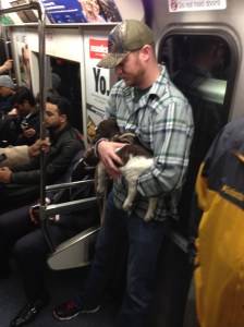 A dog-lover enjoys a tender moment on the PATH train.