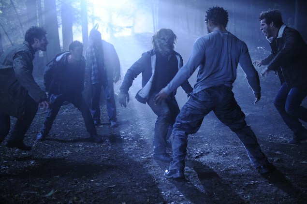 WOLVES