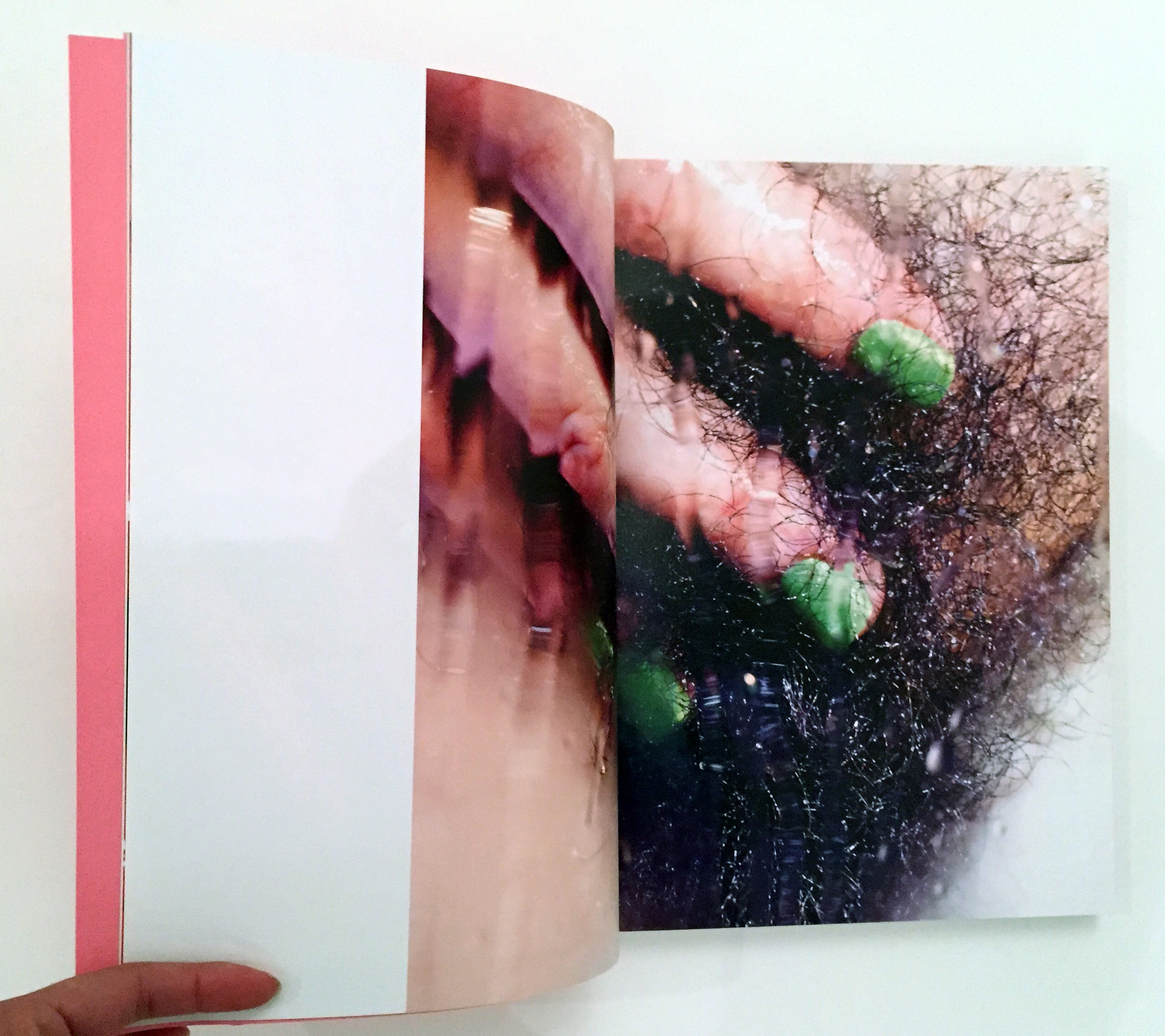 A page from Marilyn Minter's Plush. (Courtesy the artist and Fulton Ryder)