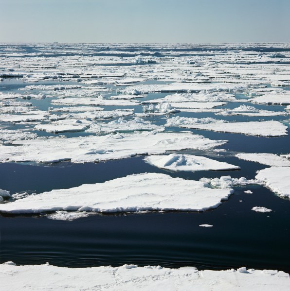 The next spot for a biennale is Antarctica. (Courtesy Getty Images)