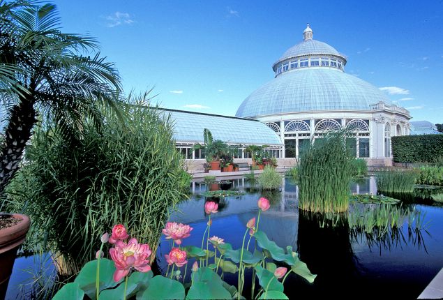The New York Botanical Garden.