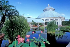 The Haupt Conservatory at the New York Botanical Garden.