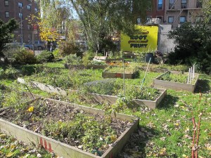 El Sitio Feliz Community Garden in East Harlem, one of many across the city (Photo: GrowNYC/Flickr/Creative Commons).