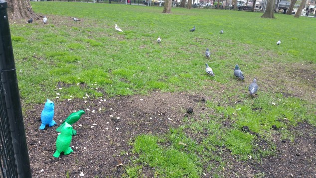 Frightened pigeons fleeing the scene.