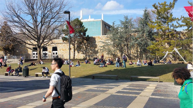 Temple University has assembled a task force to recommend new policies for sexual assault prevention. (Photo: Facebook)
