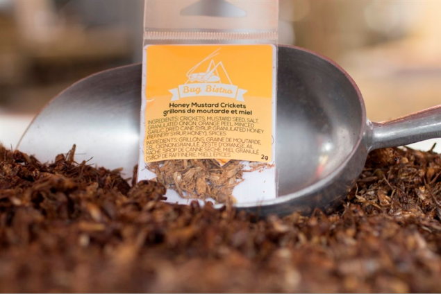 Honey mustard roasted crickets. (Photo: Next Millenium Farms)