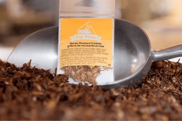 Honey mustard roasted crickets. (Photo: Next Millenium Farms)