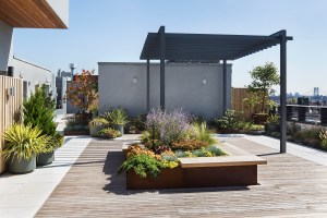 A green roof system that filters rainwater is planned for the Jefferson.