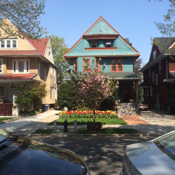 Plenty of places for tulips to bloom in Ditmas. (Faye Penn.)