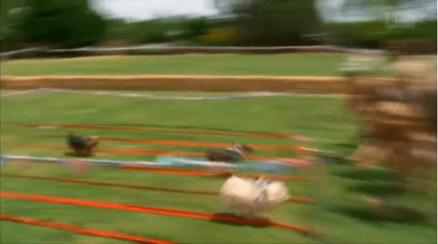 It's a photo finish!