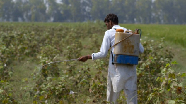 Cotton is sprayed with pesticides—to the detriment of nearby residents' health. (Photo: The True Cost)