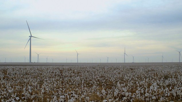 America's cotton farmers are also being harmed. (Photo: The True Cost)
