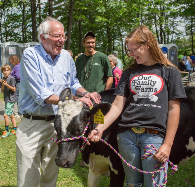 Bernie Sanders with human and bovine constituents at the Strolling of the Heifers parade. )Photo courtesy of BenrieSanders.com)