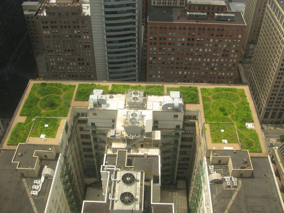 Will green roofs like the one on Chicago's City Hall be a technology that Sidewalk Labs works to advance? (Photo: TonyTheTiger/WikiCommons)