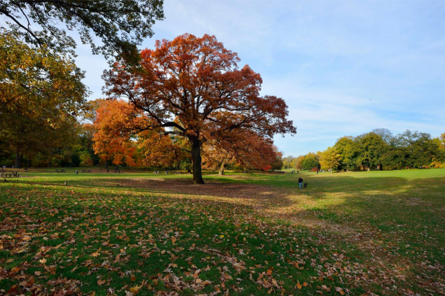 Prospect Park in Brooklyn. (Photo: Facebook/Prospect Park)