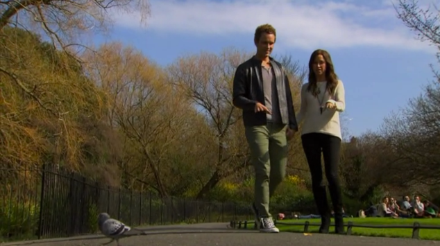 "must run away from that outfit beep beep" - pigeon in bottom left (Photo: ABC)