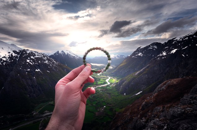 Ten percent of profits from limited edition bracelet "Wild Lokai" will benefit the World Wildlife Fund.