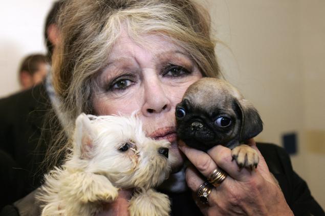 Brigitte Bardot holding some puppies in Nice 10 years ago. (Photo: Getty Images)