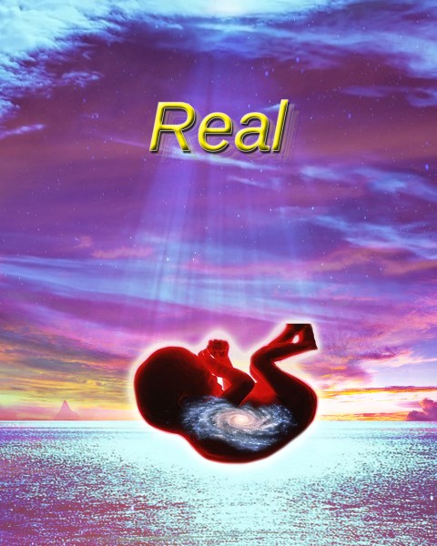 James Howard's Real