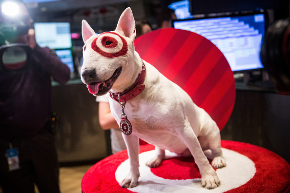 NEW YORK, NY - NOVEMBER 28:  Bullseye, an English Bull Terrier and a mascot for Target, visits the floor of the New York Stock Exchange on the morning of November 28, 2014 in New York City. The Friday after Thanksgiving, also known as Black Friday, traditionally marks the beginning of the Holiday season.  (Photo by Andrew Burton/Getty Images)