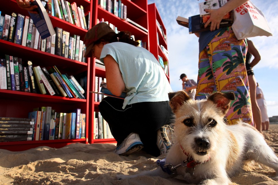 SYDNEY, AUSTRALIA - JANUARY 31: A beach goer selects books with their dog from 30 red Ikea Billy bookcases lined up to form the world's longest outdoor bookcase to celebrate the 30th birthday of the brand's signature furniture piece, at Bondi Beach on January 31, 2010 in Sydney, Australia. The bookcases were filled with thousands of books which beachgoers can swap for one of their own or make a gold coin donation to buy, with proceeds to The Australian Literacy & Numeracy Foundation.