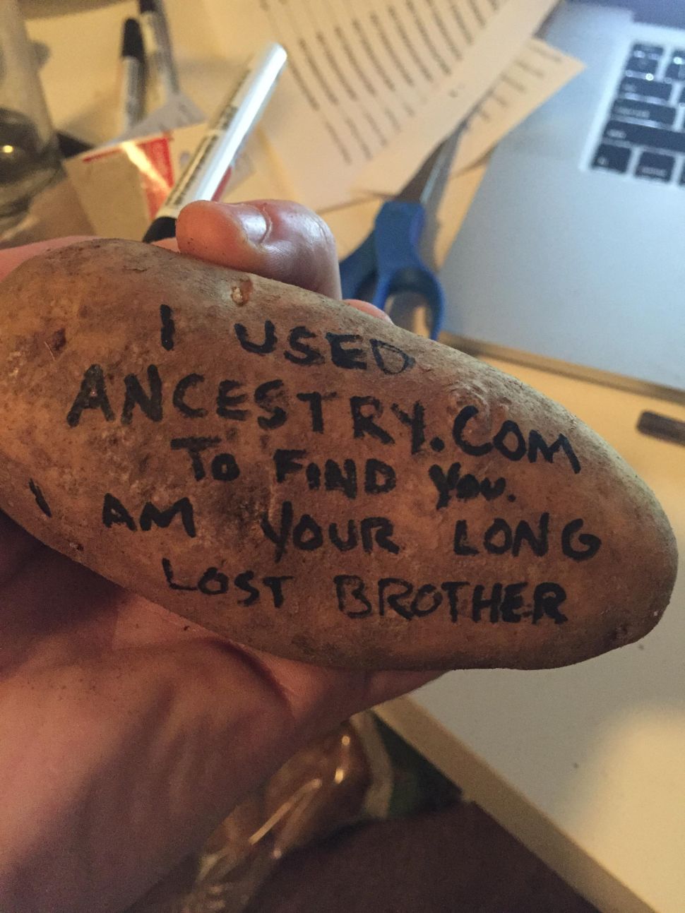 An example message. (Photo: PotatoParcel)