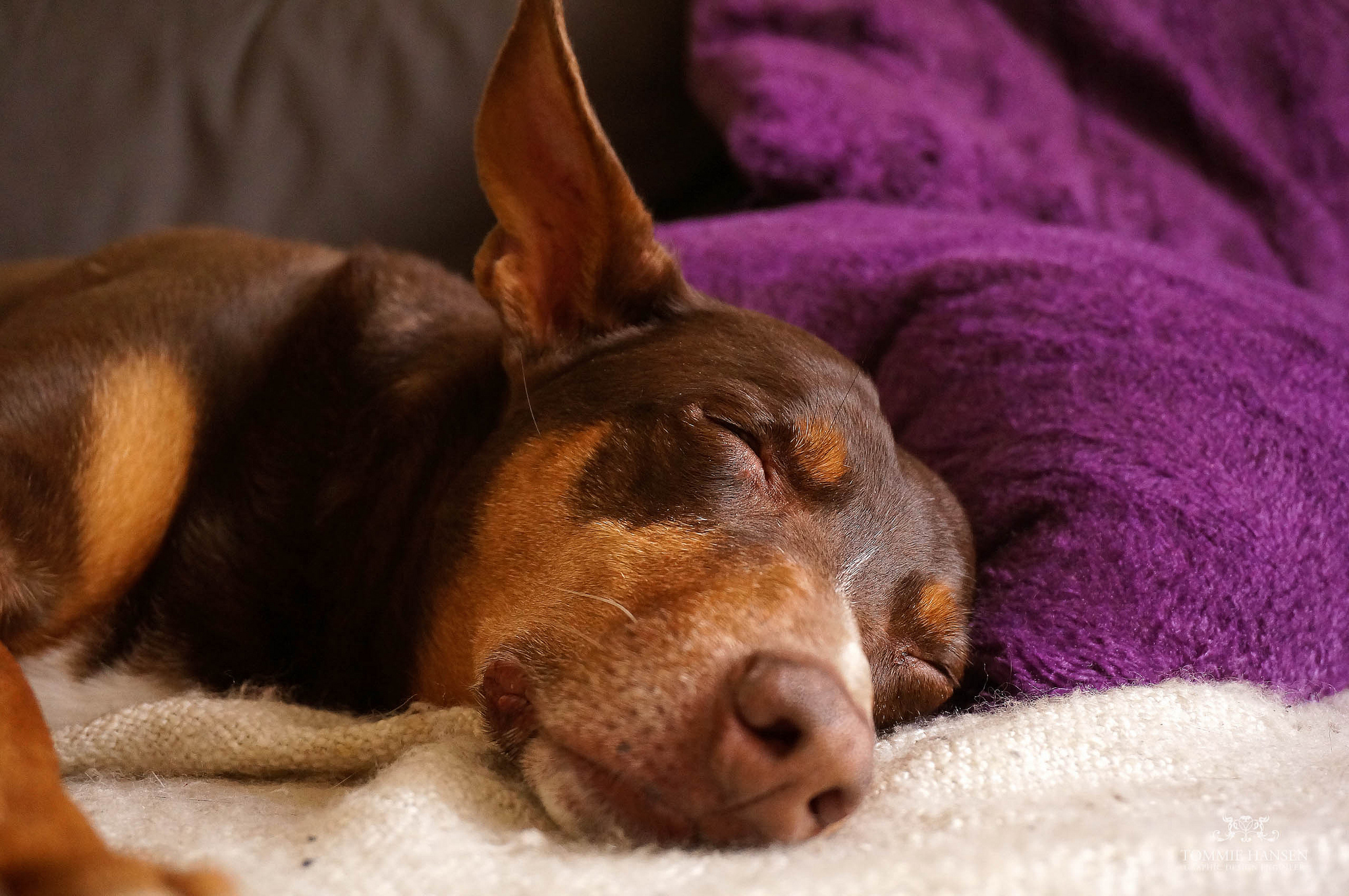 (Photo: Tommie Hansen/Flickr)