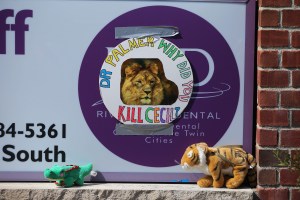 BLOOMINGTON, MN - JULY 29:  Protesters place stuffed animals on the sign of  Dr. Walter Palmer's River Bluff Dental Clinic to call attention to the alleged poaching of Cecil the lion on July 29, 2015 in Bloomington, Minnesota. According to reports, the 13-year-old lion was lured out of a national park in Zimbabwe and killed by Dr. Palmer, who had paid at least $50,000 for the hunt. (Photo by Adam Bettcher/Getty Images)
