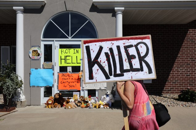 BLOOMINGTON, MN - JULY 29:  Protesters call attention to the alleged poaching of Cecil the lion, in the parking lot of Dr. Walter Palmer's River Bluff Dental Clinic on July 29, 2015 (Photo by Adam Bettcher/Getty Images)