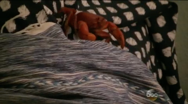 "come snuggle jordyn" (Photo: ABC)