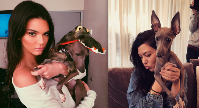 Other members of the family have posed with Norm. (Photos: Instagram)