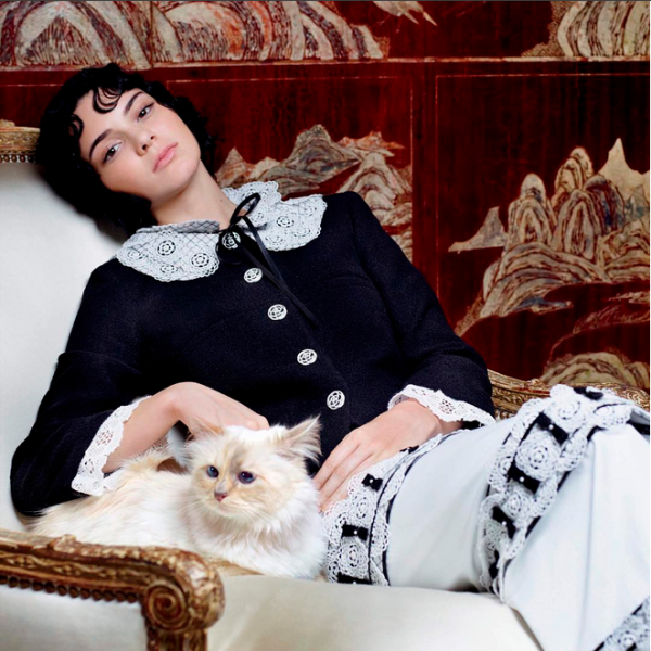 Kendall Jenner with Choupette, shot by Karl Lagerfeld, in the September issue of Vogue.